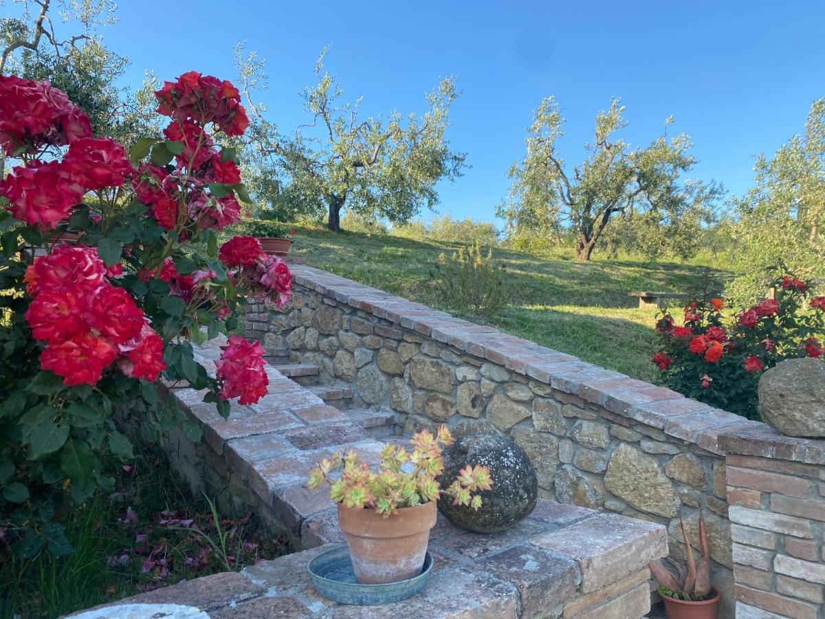 Agriturismo Casallario Volterra Luaran gambar