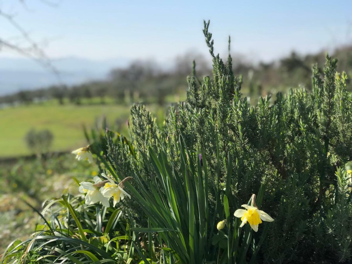 Agriturismo Casallario Volterra Luaran gambar